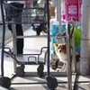 待たされる犬　Ⅰ