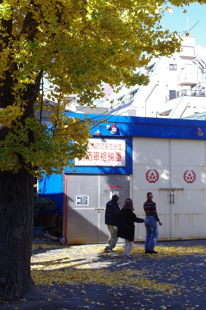 イチョウ絨毯でダンスレッスン