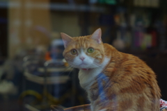 目が合ったのに・・・ピンぼけ