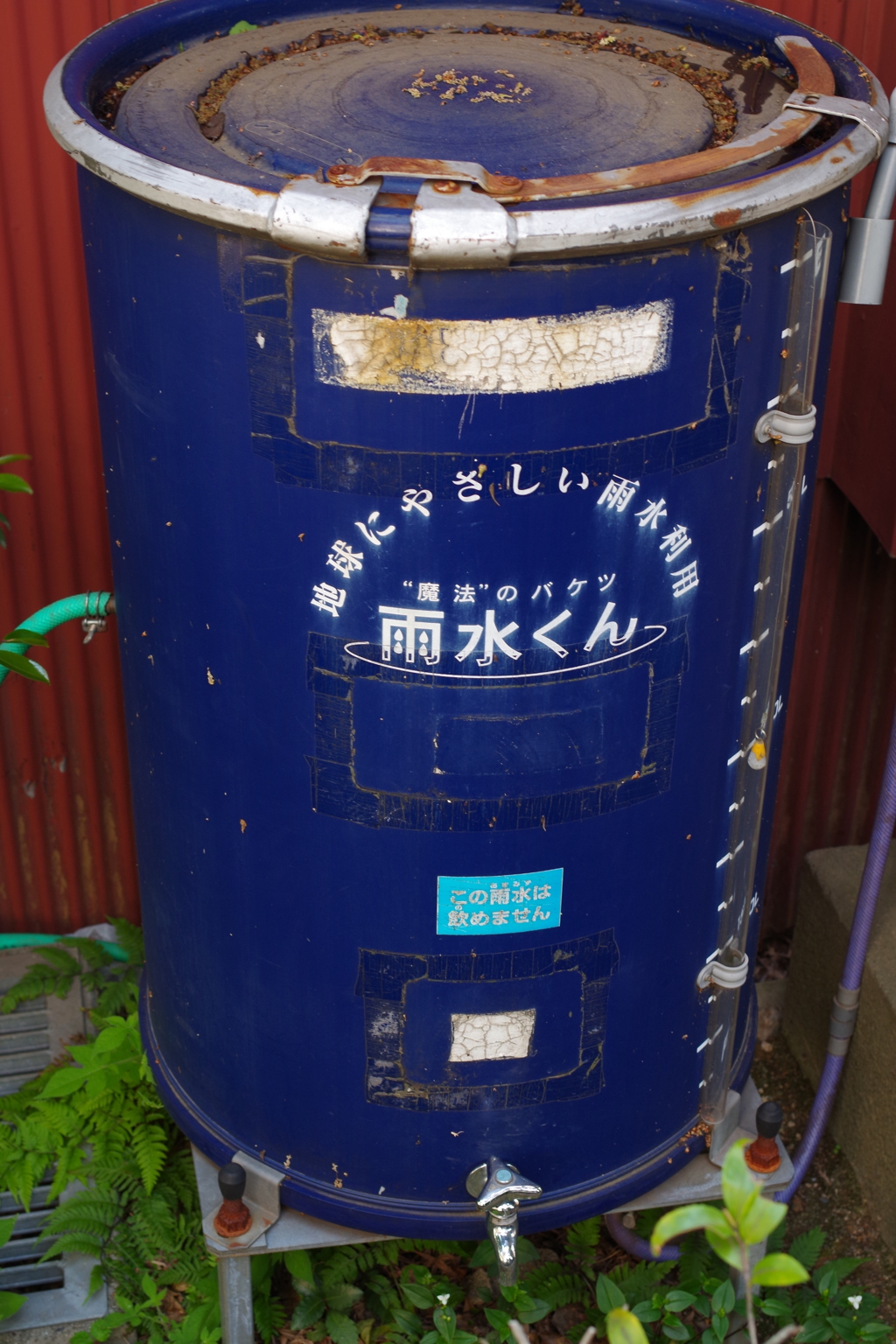 雨水くん