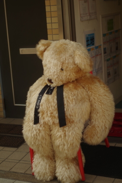 メタボで運動不足な　クマ