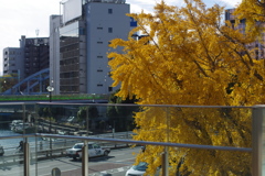 イエロー！