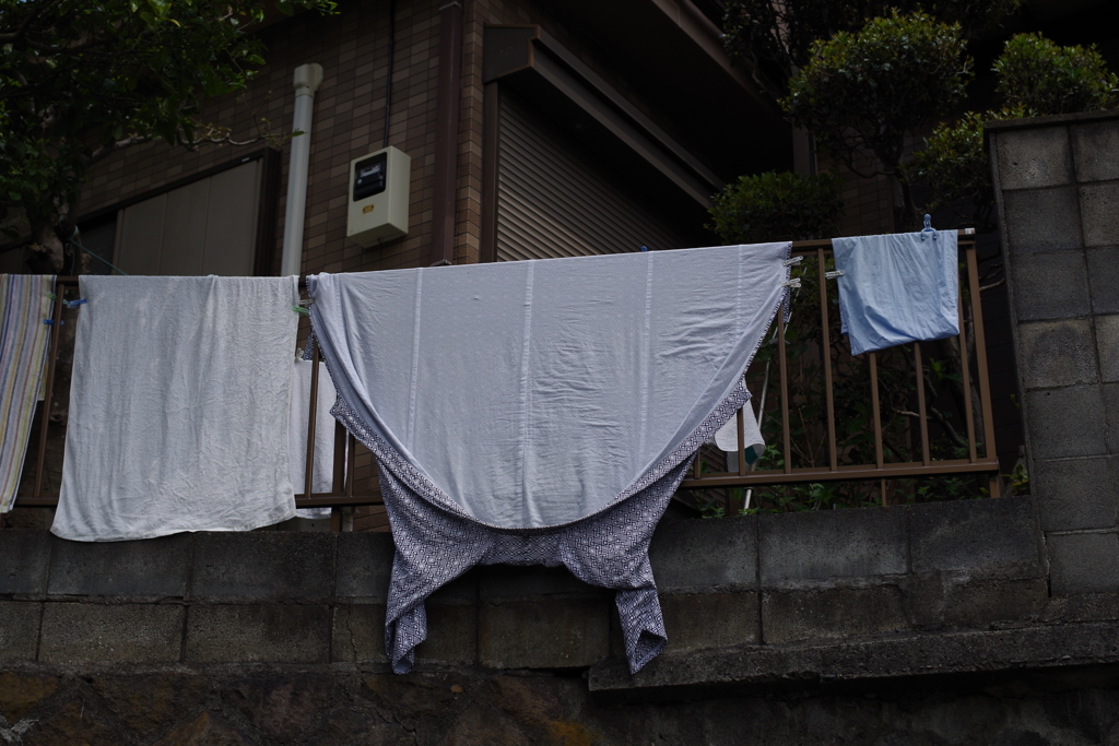 逆さ　トトロ