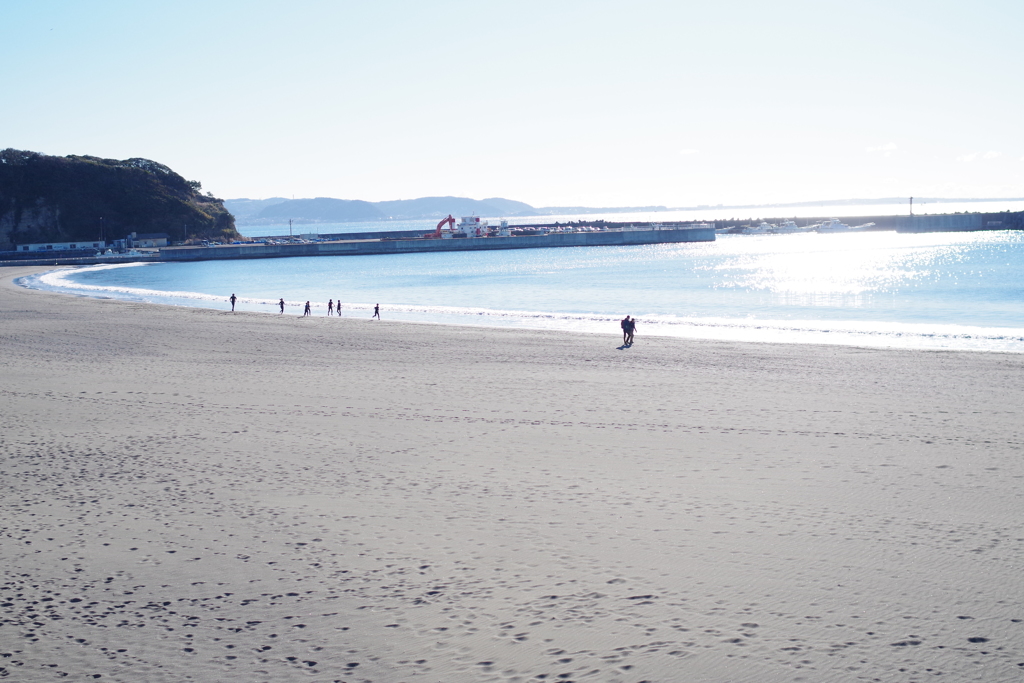 海は広いな