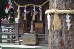 春の神社
