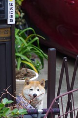 貼り紙は誇大・誇張