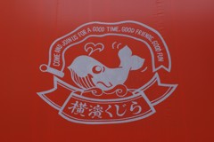 Sea Shepherd   Come on !?