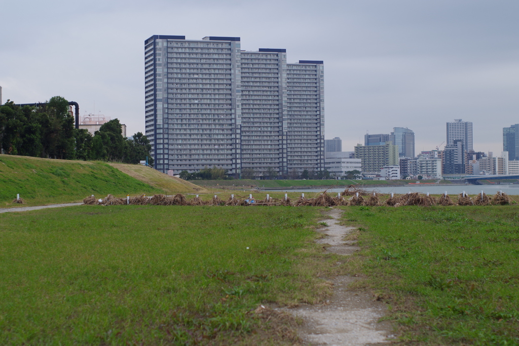 多摩川河川敷