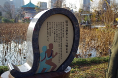 へぇ～　そうだったのか