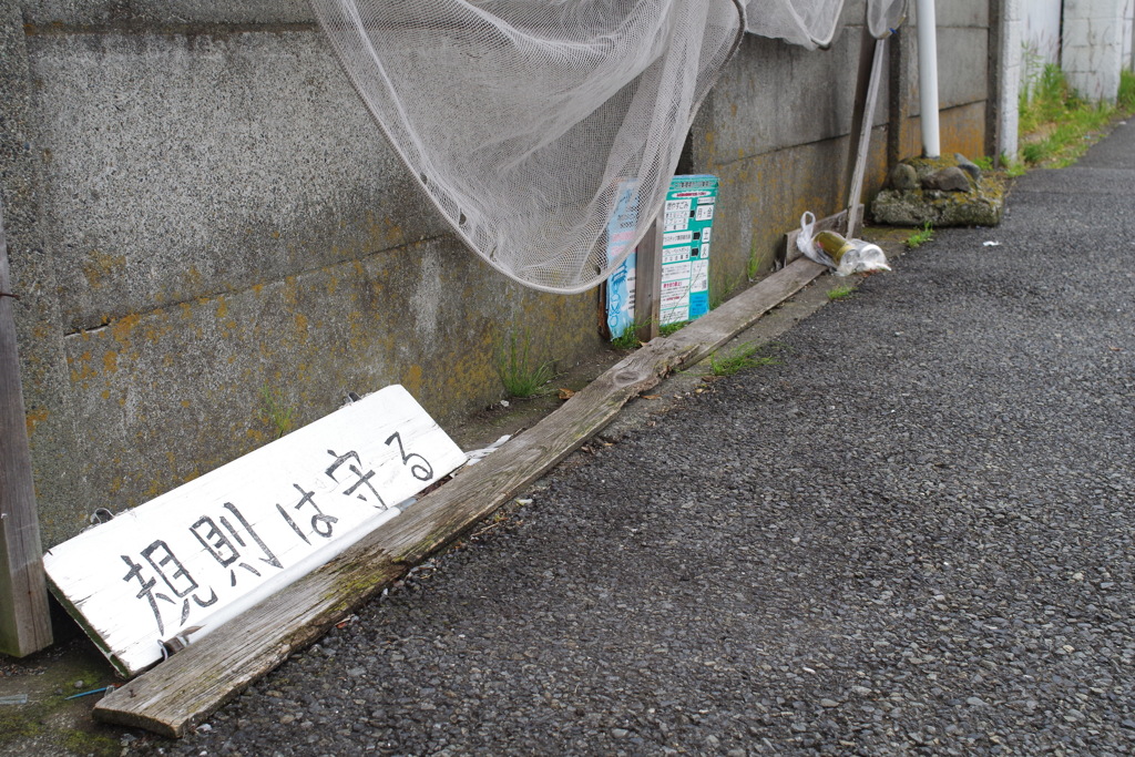 ちょっとは許して