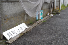 ちょっとは許して