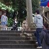 狛犬　お出迎え