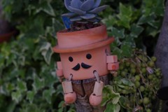 元気だそうぜ