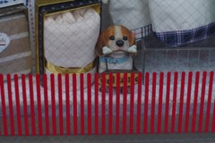 柵があるので、ここまでです。