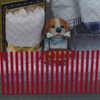 柵があるので、ここまでです。