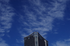 冬空