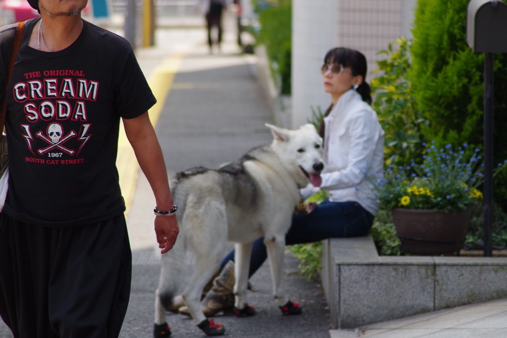 いいな　あのＴシャツ