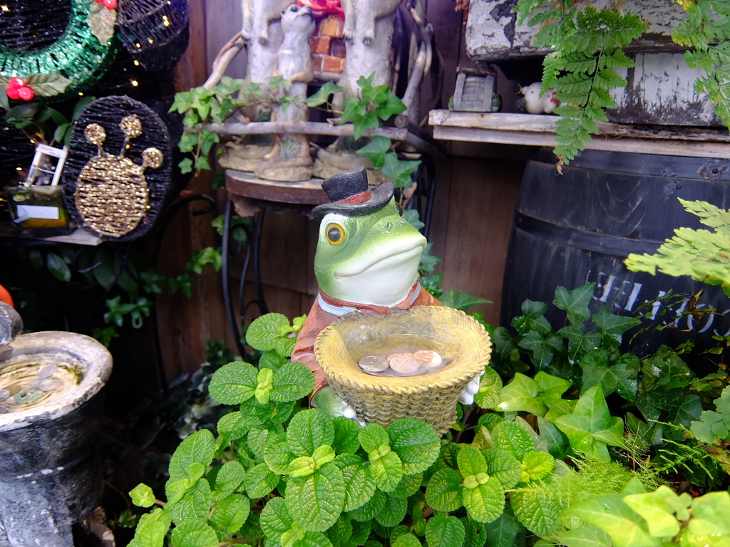 油屋の蛙じゃないぜ