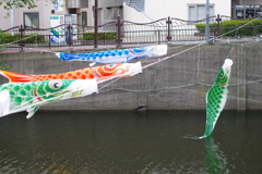 釣られてしまいました