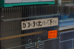 これだけぶら下がってたらねぇ・・・