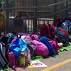 中のおにぎり、全部で何個かな？