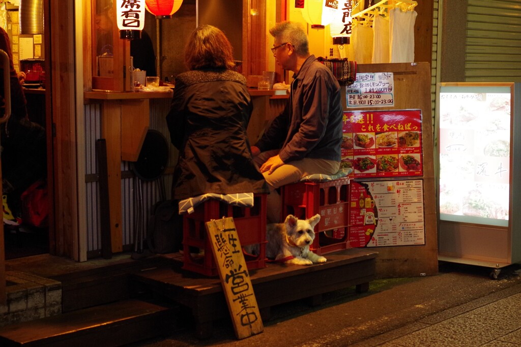 一生懸命　待ってます