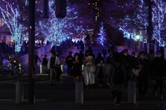 夜の横断歩道