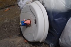 のろまだったのかな？