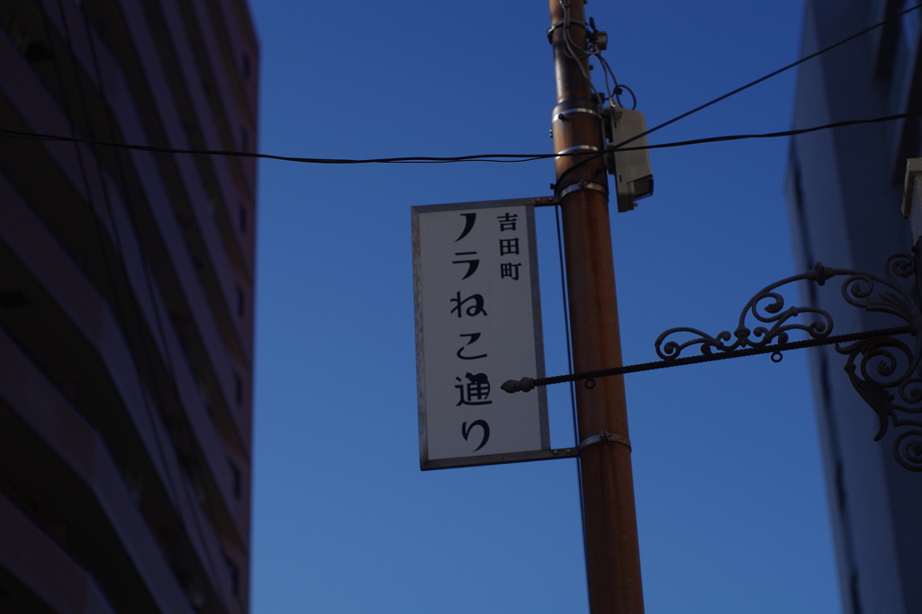 初めて知った