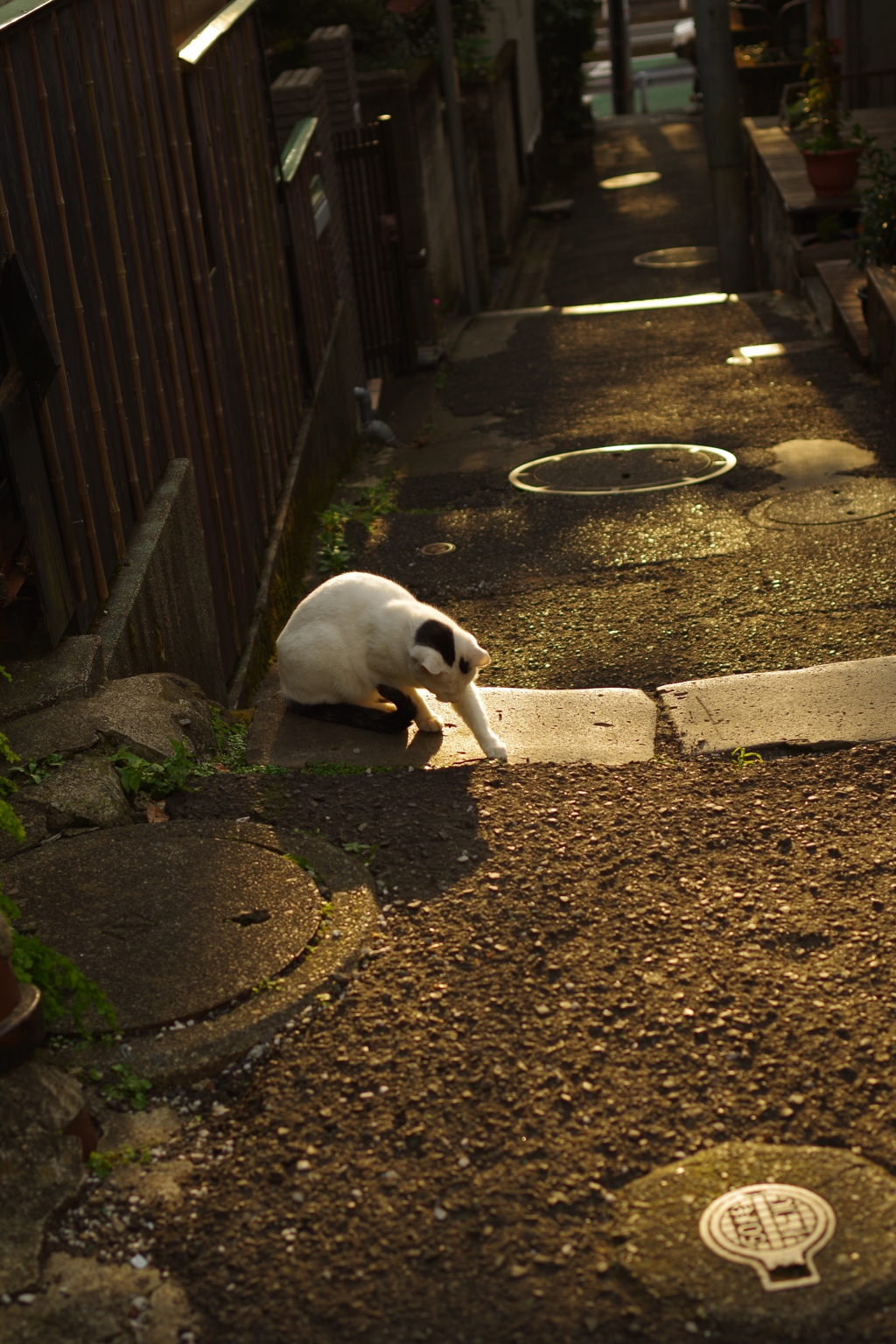 ここのゴミをのけて・・・・