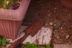 余生　ひっそりと