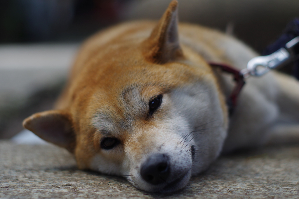 ちょっとだけ目線