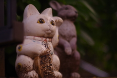 風雪に耐える　ネコ（とウサギ）