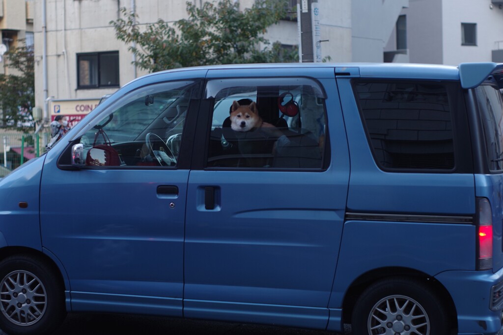 熱い視線