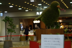 コロナで寂しい