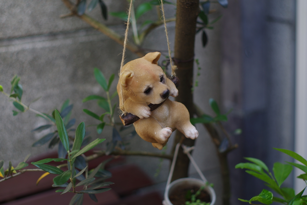 見てないで、助けておくれよ