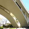 秘密基地