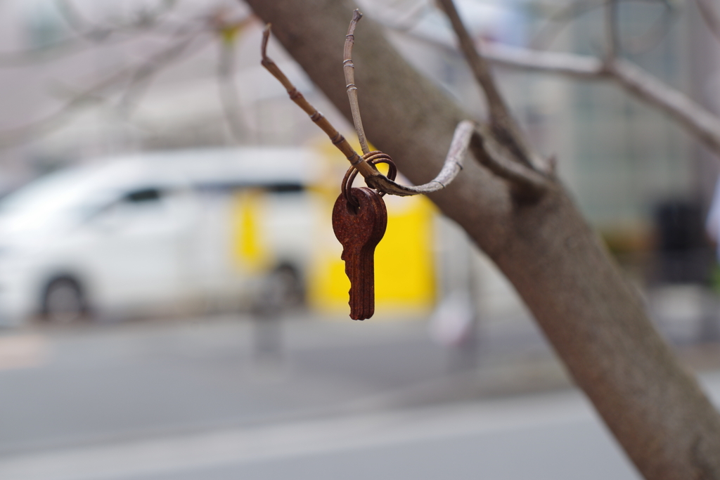 いつからそこに？