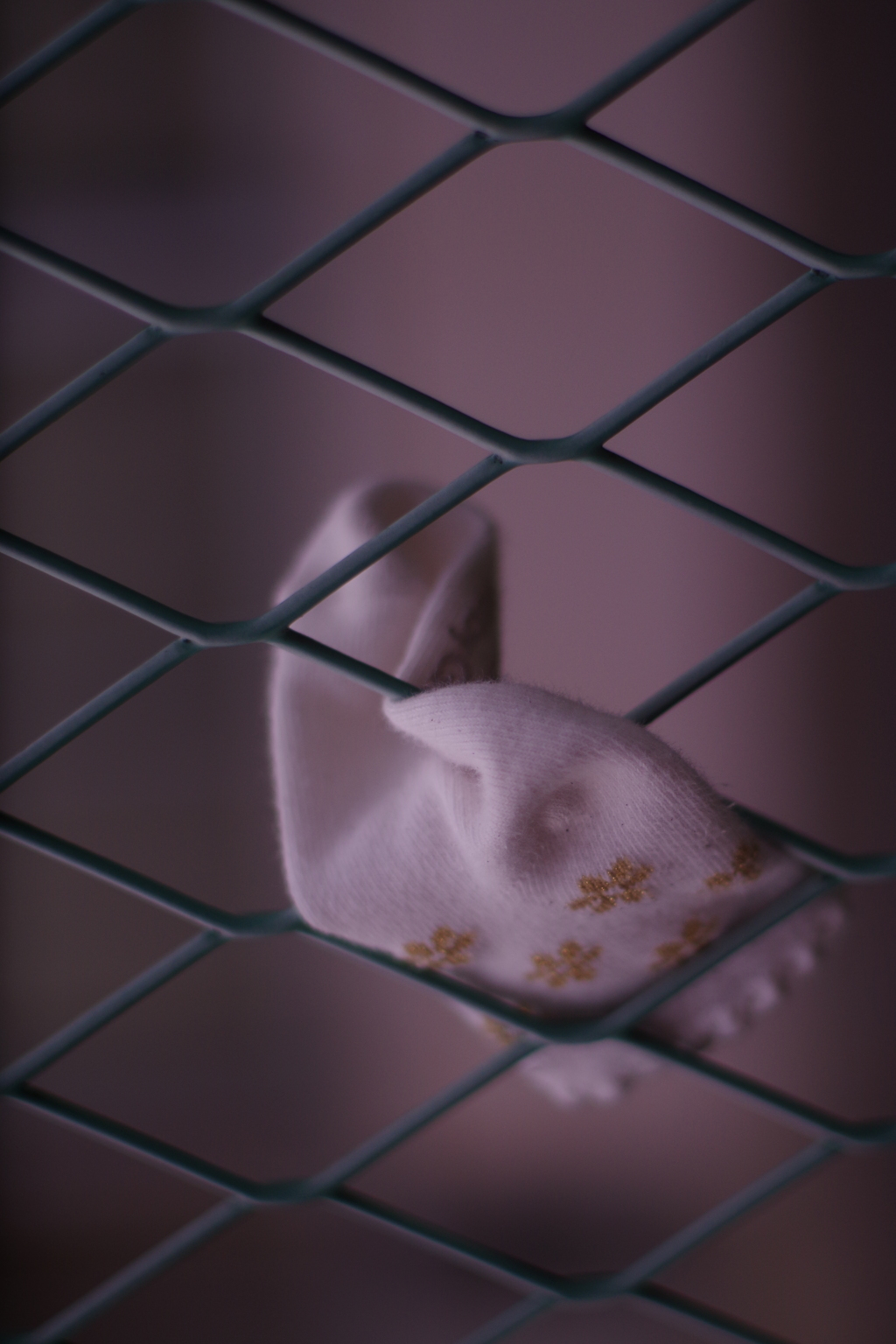 おそらく　落とし物