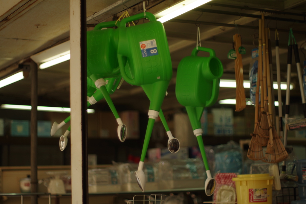 下向きな　新人