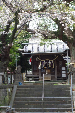 サクラと神社
