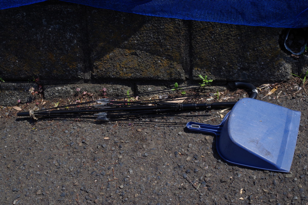 骨抜き　違った　骨だけ