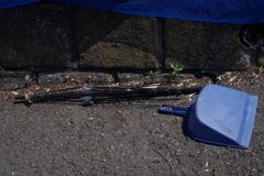 骨抜き　違った　骨だけ