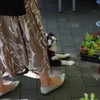 なに？