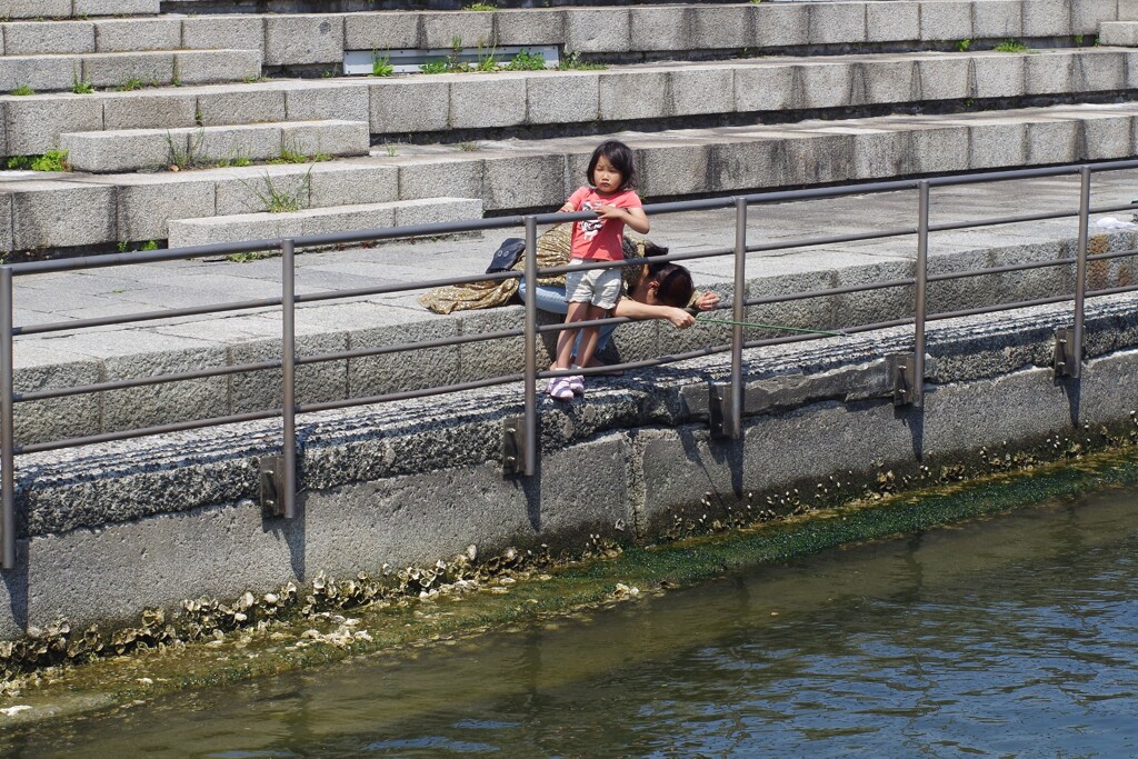 母も夢中