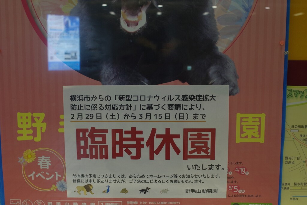 あっちも