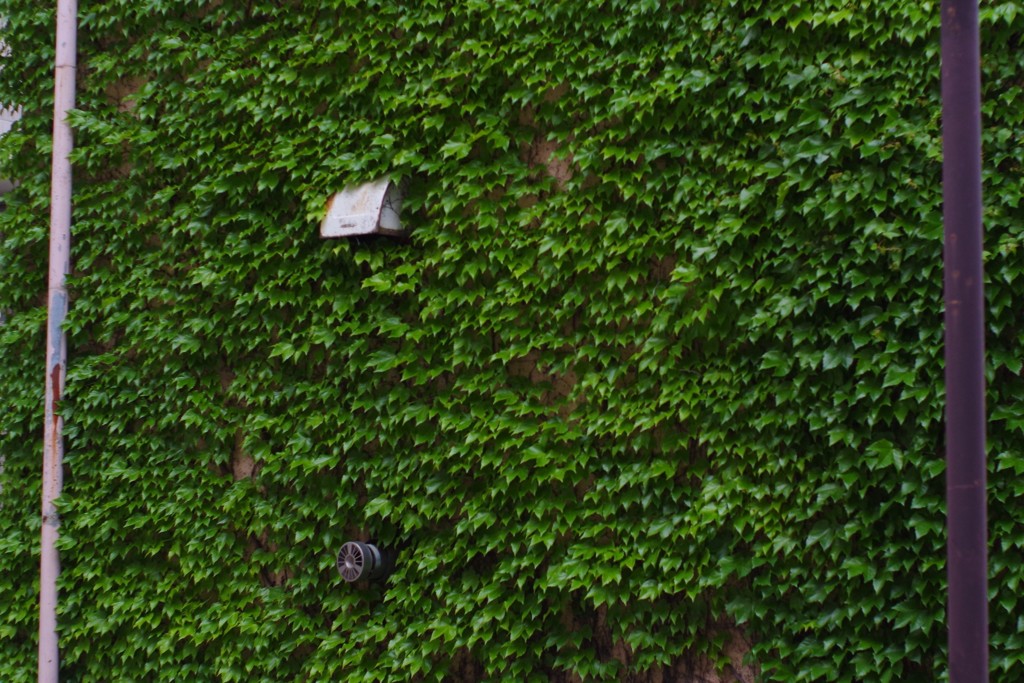 カモフラージュ