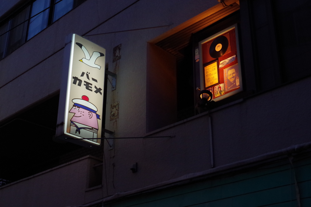 夜のカモメ