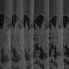白と黒