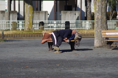 実は、結構寒い日